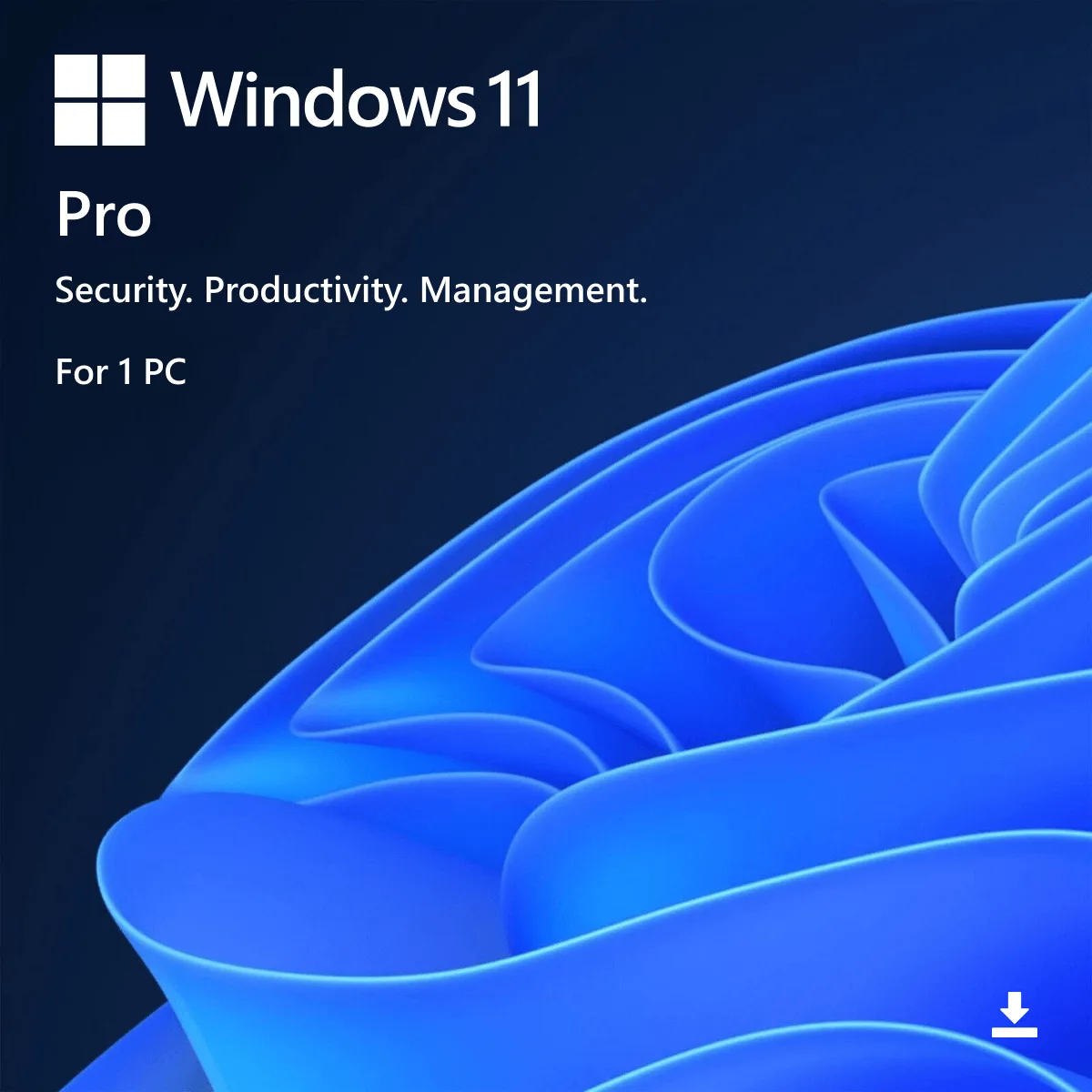 Windows 11 Professional