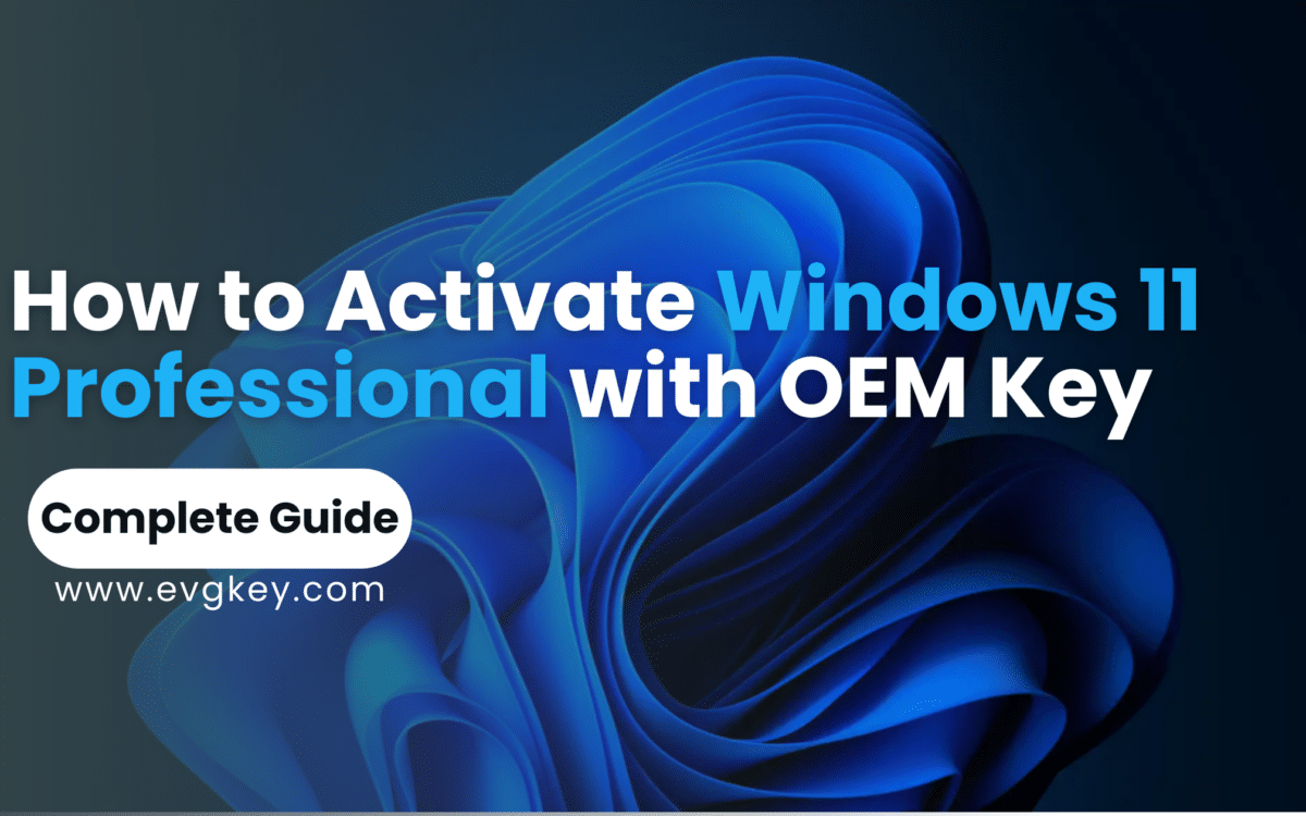 How to Activate Windows 11 Professional with OEM Key